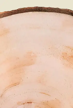 Древесина из лиственницы